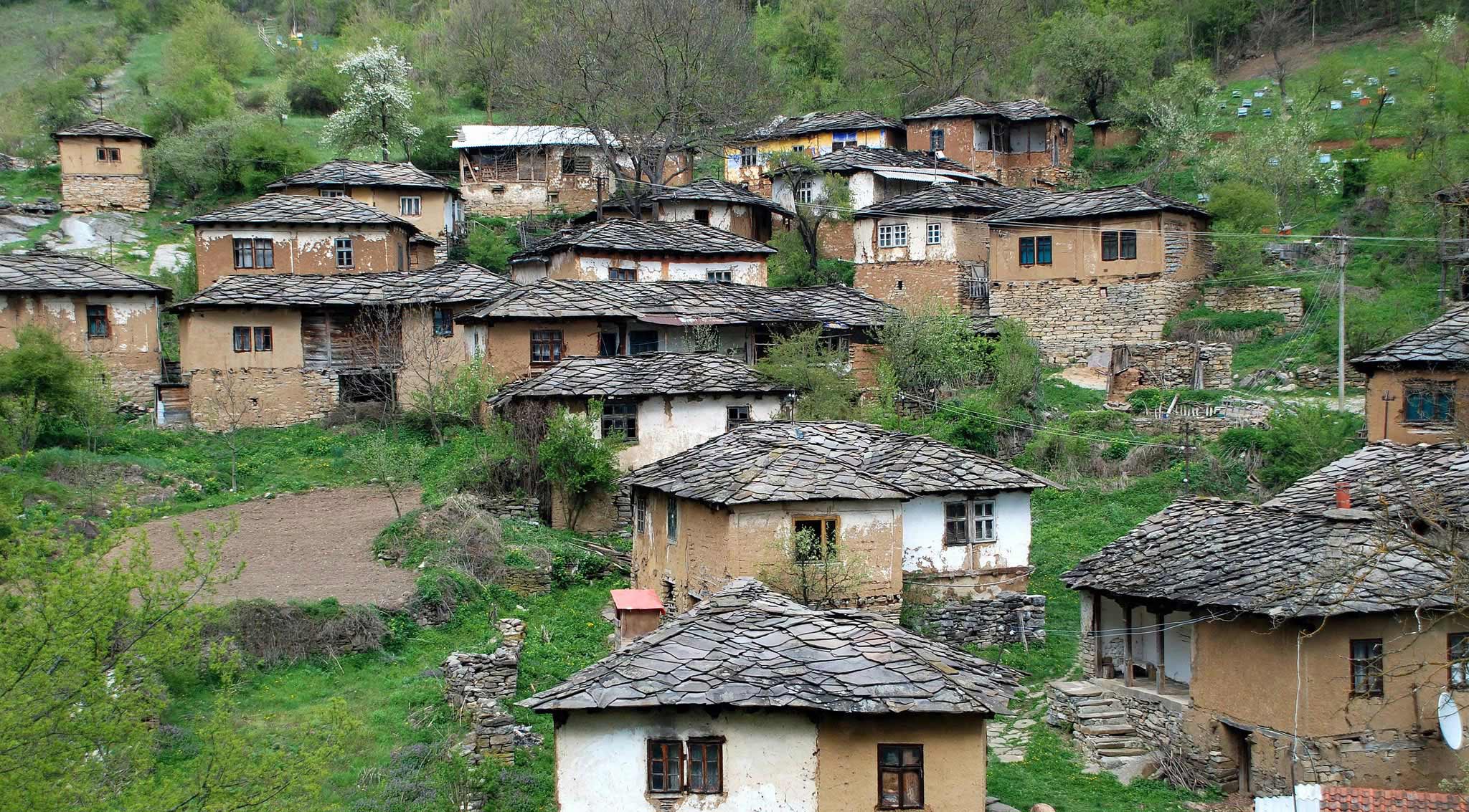 Conservation Study of the Village Gostuša in Pirot district - European