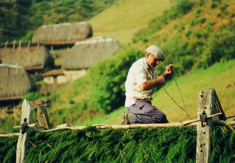 Thatching in West Europe, from Asturias to Iceland, Madrid SPAIN